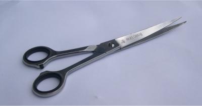 Schaar Miranda  61080 Semi-Prof.