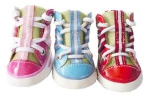 4 Schoentjes  blauw str mt3