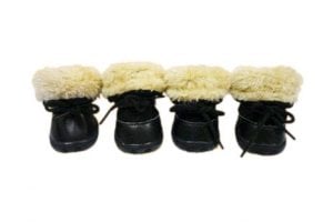 4 Schoentjes Bont mt3