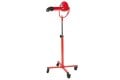 Aeolus Rood staande fohn - 1/3