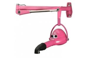 Aeolus Roze hangende fohn