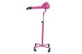 Aeolus Roze staande fohn