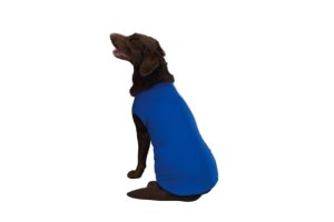 Basic shirt  d-blauw XS