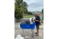 Hondenbad groot  Shelandy - 2/6