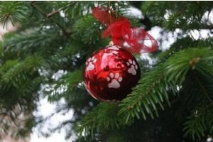 Kerstbal rood met poot