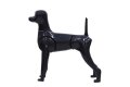 Modeldog 3in1 - 2/4