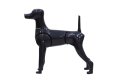 Modeldog 3in1 - 4/4