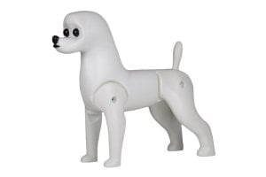 modeldog-body-bichon-frise