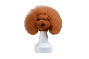 Modeldog Hoofd B. Vacht
