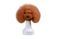 Modeldog Hoofd B. Vacht - 1/2