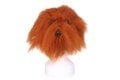 Modeldog Hoofd B. Vacht - 2/2