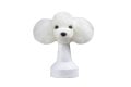 Modeldog Hoofd W. Vacht - 1/2