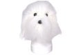 Modeldog Hoofd W. Vacht - 2/2