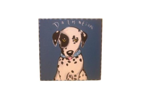 S.H. Schilderij 48x48cm Dalmatier