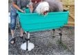Trim.nl hondenbad  G+loopplank - 3/3