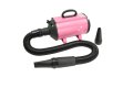 Waterblazer Doubleblaster DS RZ