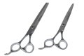 Trimscharen set L. Sabeltand - 1/3